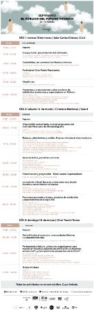 Programa del Seminario El Público del Futuro FICUNAM 2020